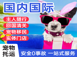 昌都邦达机场货运国际宠物托运 【国